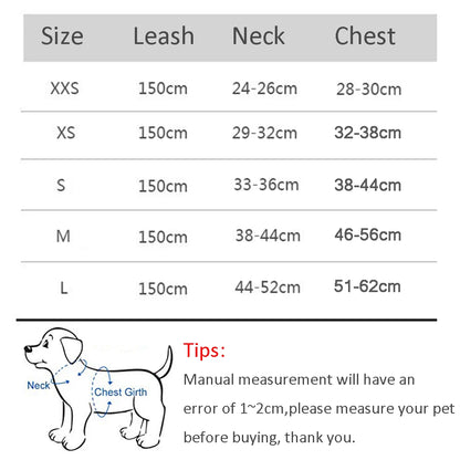 Dog Harness Leash Set