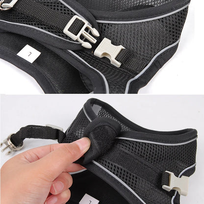 Dog Harness Leash Set