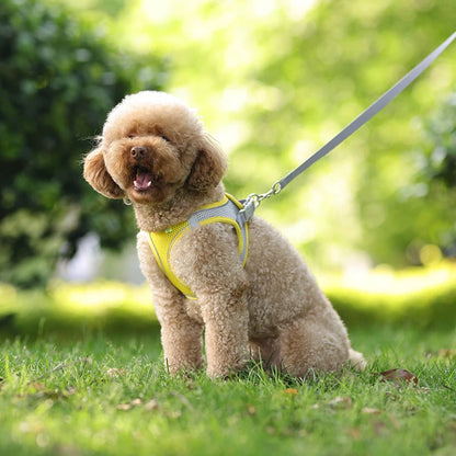 Dog Harness Leash Set